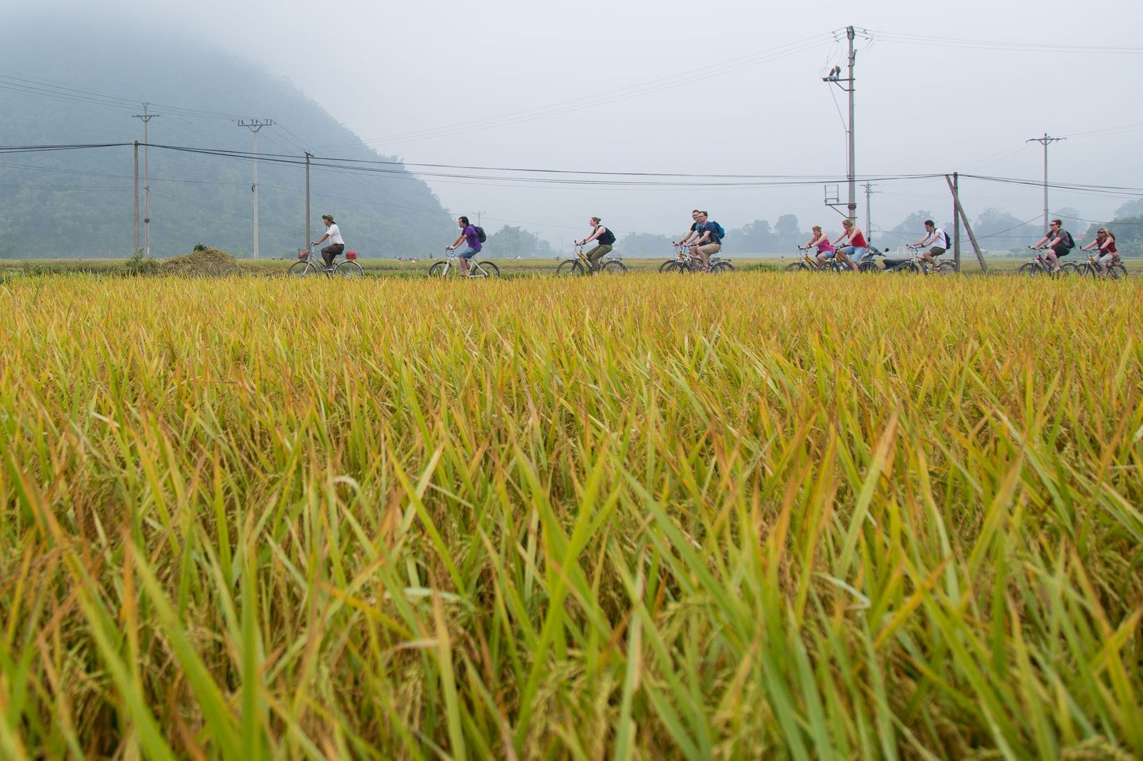 4 Days Northern Vietnam Cycling: Mai Chau to Pu Luong Cycling Adventure